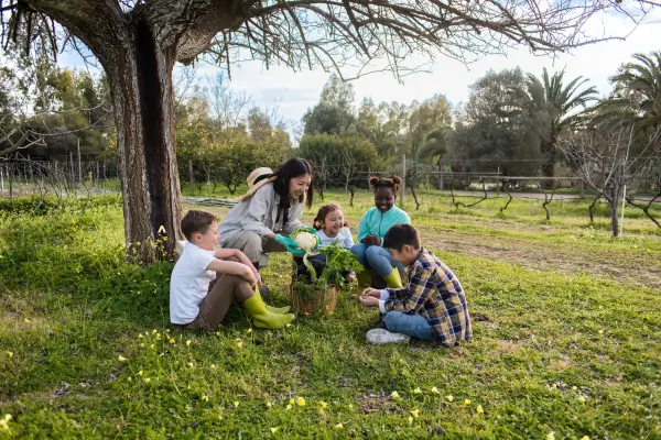 Hotel Fazenda com Bebês: Dicas de Hospedagem e Destinos para Turismo Rural em Família
